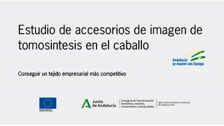 PROJECT OF IMPLANTATION AND CERTIFICATION UNDER UNE 166001 ACCESSORIES of DIGITAL TOMOSYNTHESIS in the EQUINE